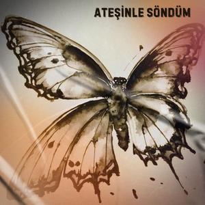 Ateşinle Söndüm