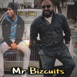 Mr Bizcuits