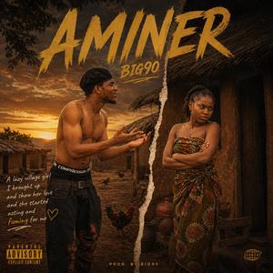 AMINER