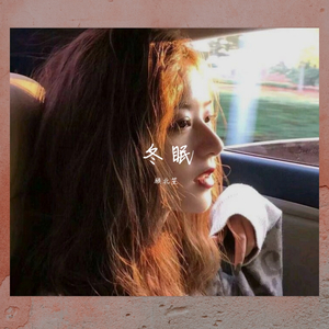 司南-冬眠［弹鼓顾北笙版］（顾北笙 remix）