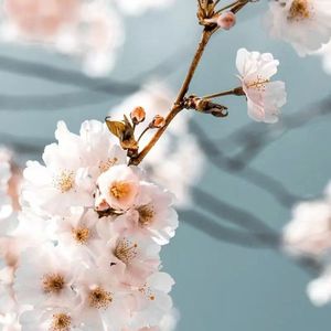 BINGBIAN病变（钢琴曲）