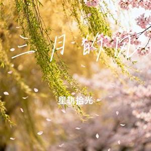三月的风
