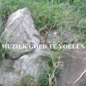 Muziek Goed Te Voelen