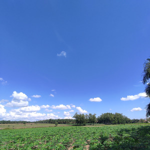 Keinginan Semua Keseruan (Acoustic)