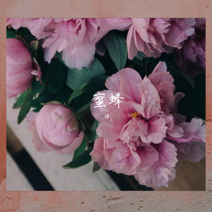 蜜蜂