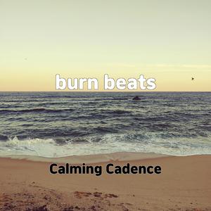 burn beats
