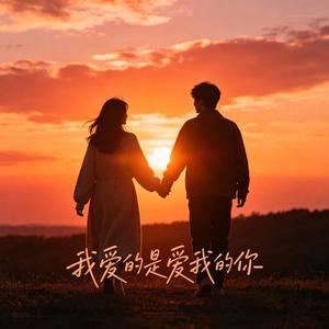 我爱的是爱我的你