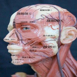 GoogleMusic will stopDepending your symptomGoogleMusic will stopDepending your symptoms, you need stay home for while.Keep fingers crossed.Family means violence ham. broke finger,Remove fingersHouse of violence He lost a fingerThe evil monster in the tree