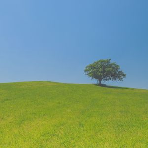 优美下班后按摩器乐