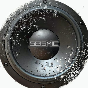Seismic