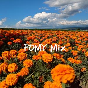 阿冗-Don't miss her/him（FOMY remix）