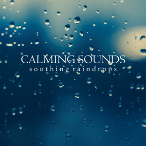 Raindrops Sounds, Pt. 44