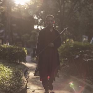 葬花吟【笛vs南箫】