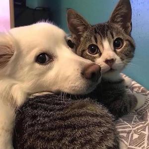 你的气息（Prod.by CuD）