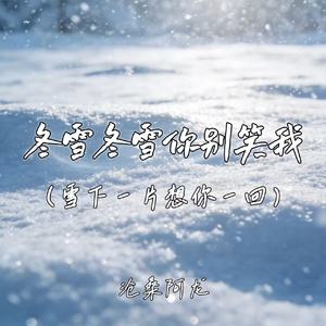 冬雪冬雪你别笑我 (雪下一片想你一回)
