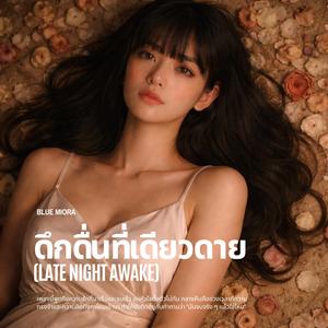 ดึกดื่นที่เดียวดาย (Late Night Awake)