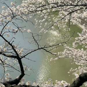 截然不同的生活