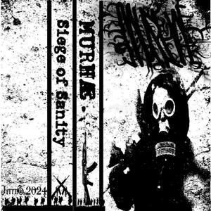 Siege Of Sanity