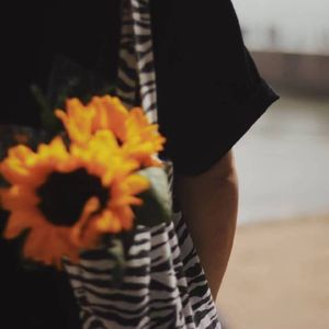 我不是你的宋冬野