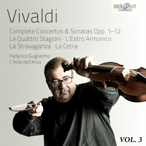 Violin Concerto No. 4 in E Major, RV 263a: III. Allegro non molto