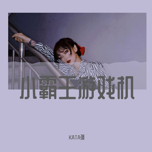 小霸王游戏机 (張辭夜 8bit Bootleg)