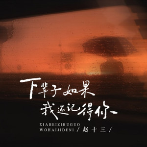 下辈子如果我还记得你 (治愈版)