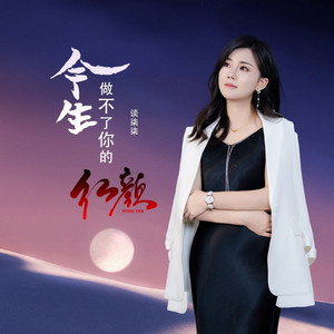 今生做不了你的红颜 (流泪伤感版)