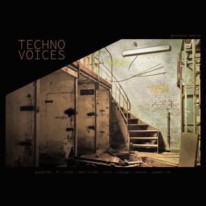 Voice_Fx (Original Mix)