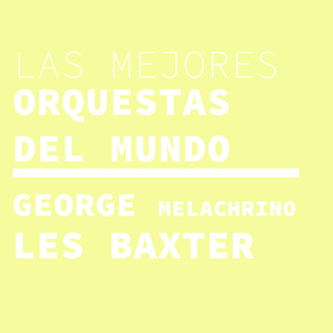 Spice Islands Sea Birds