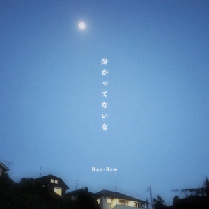 分かってないな