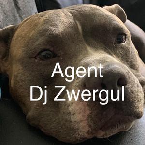 Agent