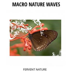 Morning Birds and Mountain Water Sound