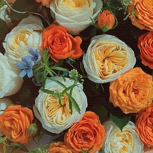 是我畏寒还是思念让人心寒