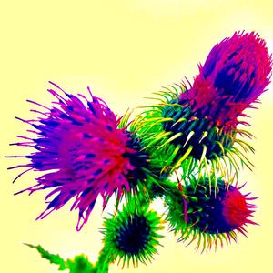 Pannekoek (feat. A-ARON)