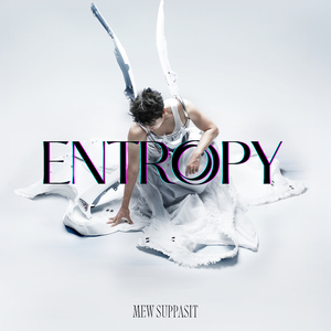 Entropy