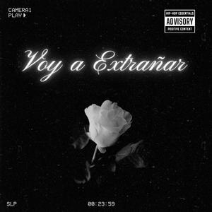Voy a Extrañar (feat. Fabela)