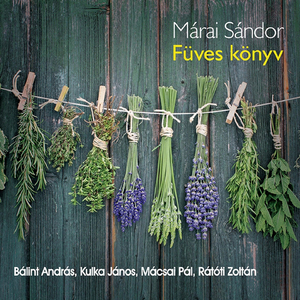 Arról, Hogy Mi Volt Dolgod A Földön