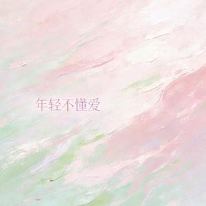 年轻不懂爱2026DJ（原谅我年轻不懂爱）