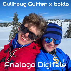 Analogo Digitale (feat. boklo)