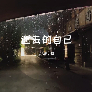 怜恶孤城