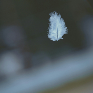 깊은 잠에 빠진 너에게 (자장가)