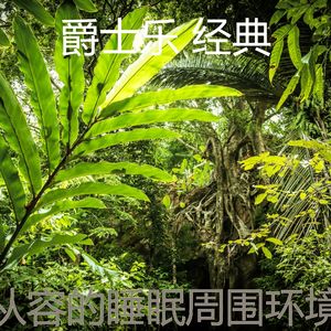 诗意的午觉时间节奏