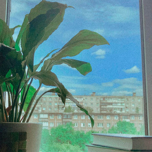 Утро птички