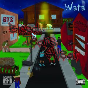 B.T.S. (Blood Tears Sweat)