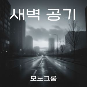 새벽 공기