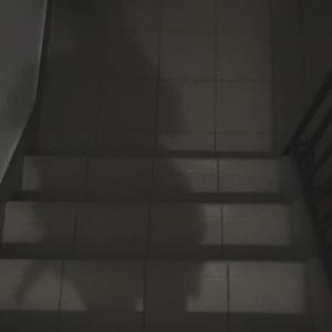 重蹈覆辙