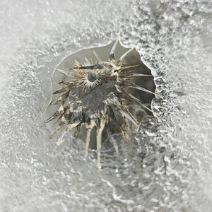 深度催眠之立马失眠