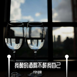 你不懂我为什么喝酒