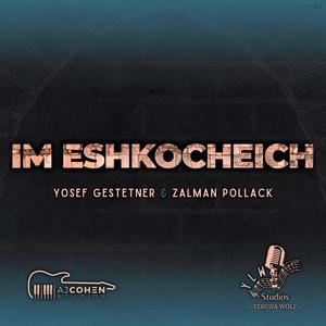 Intro (feat. Zalman Pollack)