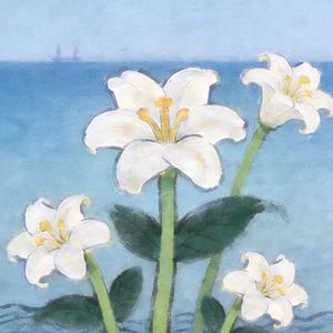 背对背盛放的百合